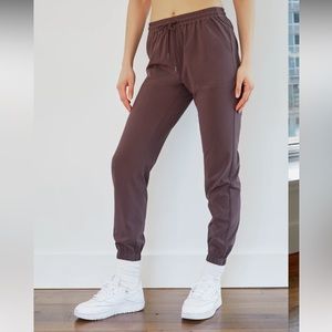 Aritzia Speed joggers